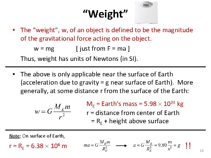“Weight” • The “weight”, w, of an object is defined to be the magnitude