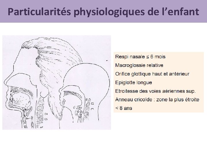 Particularités physiologiques de l’enfant 