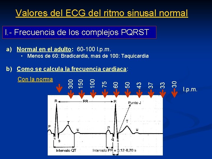 Valores del ECG del ritmo sinusal normal I. - Frecuencia de los complejos PQRST