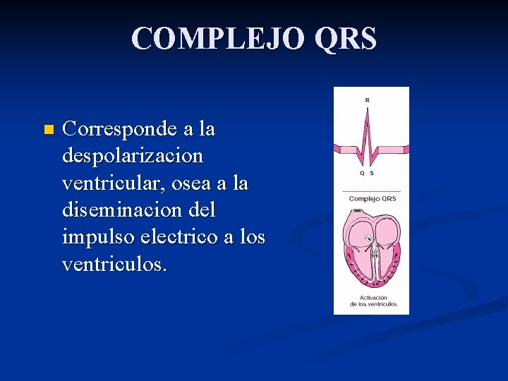 COMPLEJO QRS n Corresponde a la despolarizacion ventricular, osea a la diseminacion del impulso