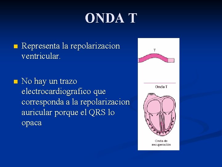 ONDA T n Representa la repolarizacion ventricular. n No hay un trazo electrocardiografico que