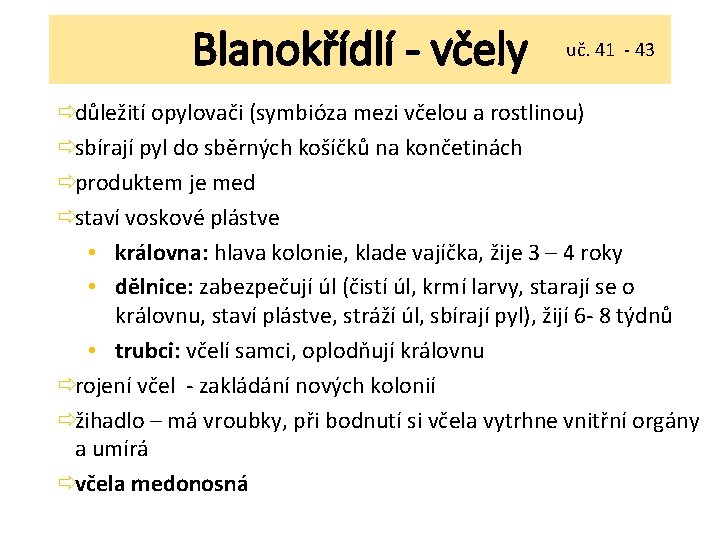 Blanokřídlí - včely uč. 41 - 43 ðdůležití opylovači (symbióza mezi včelou a rostlinou)