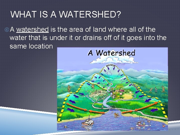 WHAT IS A WATERSHED? A watershed is the area of land where all of