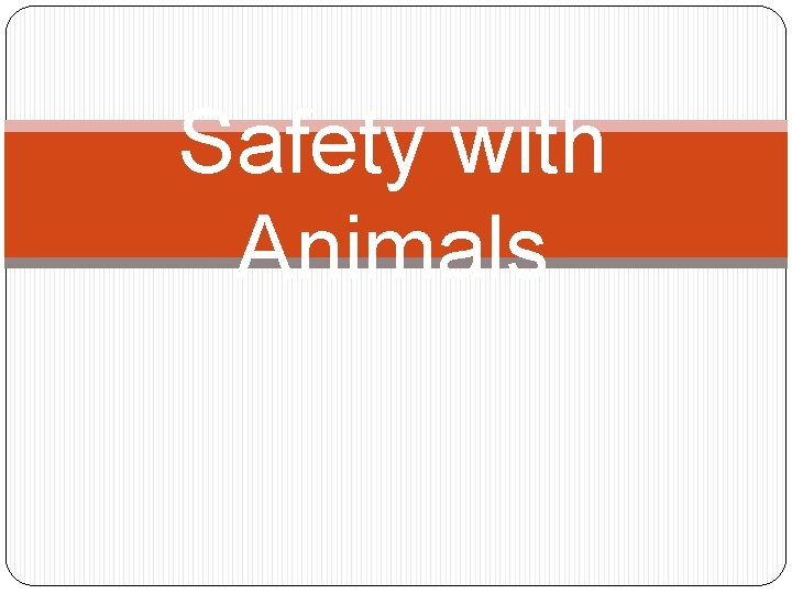 Safety with Animals 