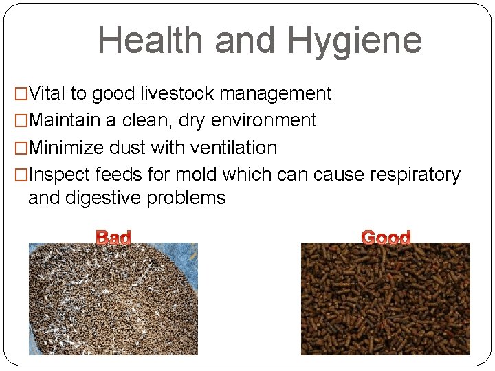 Health and Hygiene �Vital to good livestock management �Maintain a clean, dry environment �Minimize
