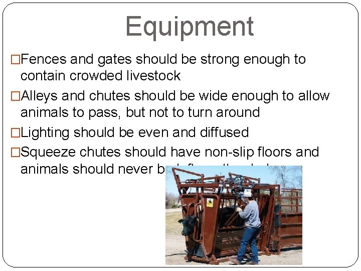 Equipment �Fences and gates should be strong enough to contain crowded livestock �Alleys and