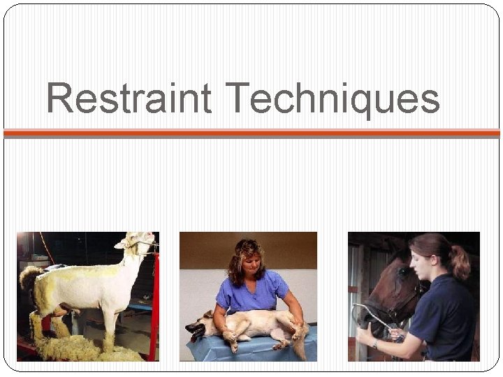 Restraint Techniques 