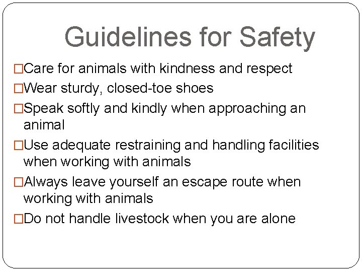 Guidelines for Safety �Care for animals with kindness and respect �Wear sturdy, closed-toe shoes