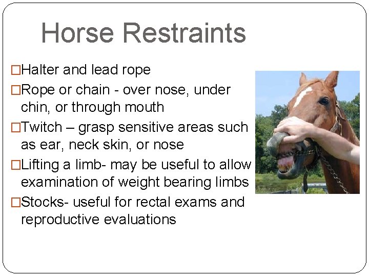 Horse Restraints �Halter and lead rope �Rope or chain - over nose, under chin,