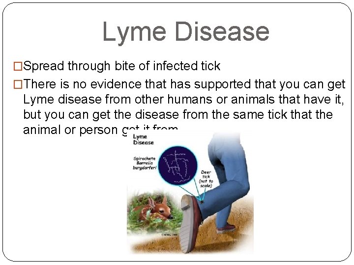 Lyme Disease �Spread through bite of infected tick �There is no evidence that has