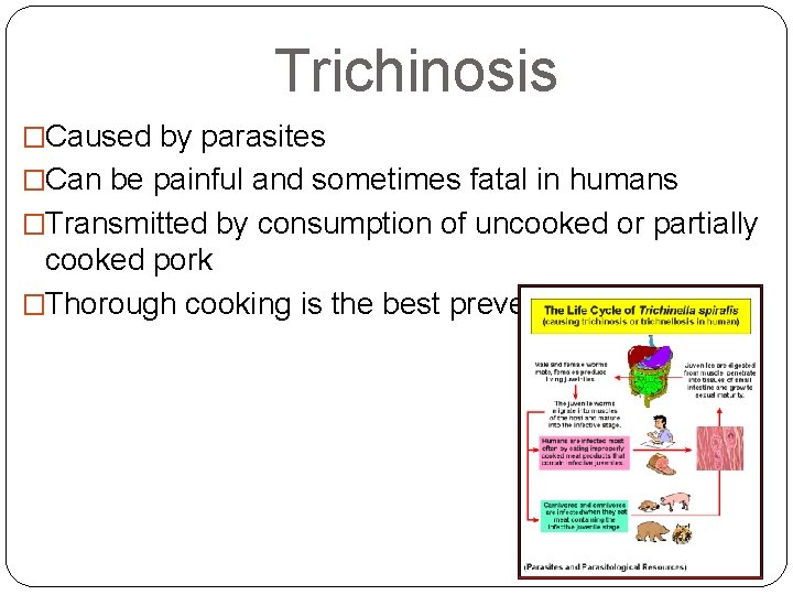 Trichinosis �Caused by parasites �Can be painful and sometimes fatal in humans �Transmitted by