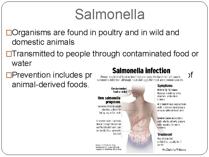 Salmonella �Organisms are found in poultry and in wild and domestic animals �Transmitted to