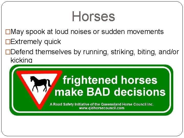 Horses �May spook at loud noises or sudden movements �Extremely quick �Defend themselves by