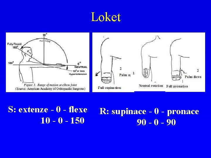 Loket S: extenze - 0 - flexe 10 - 150 R: supinace - 0