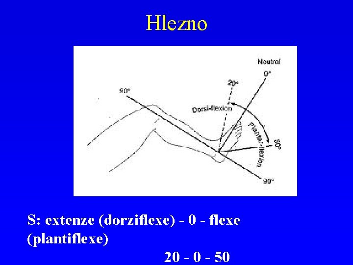 Hlezno S: extenze (dorziflexe) - 0 - flexe (plantiflexe) 20 - 50 