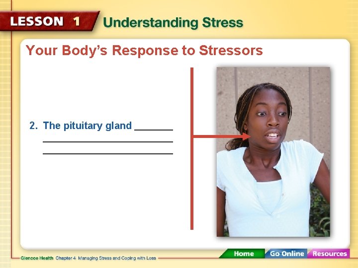 Your Body’s Response to Stressors 2. The pituitary gland 