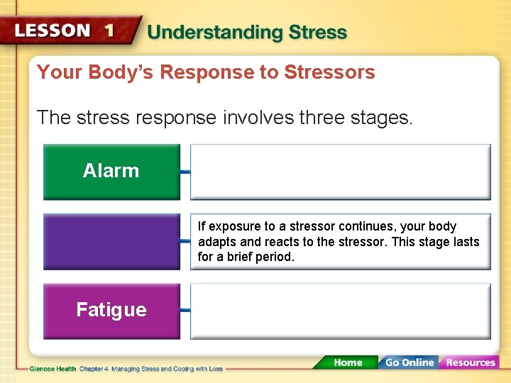 Your Body’s Response to Stressors The stress response involves three stages. Alarm If exposure