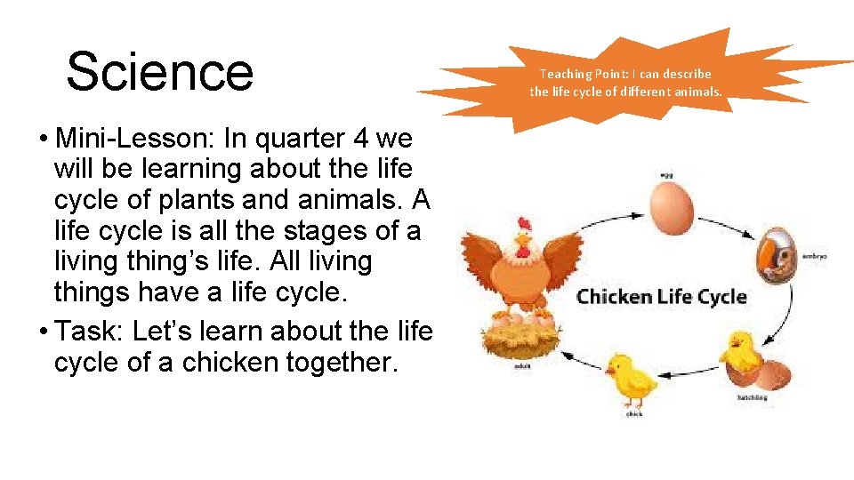 Science • Mini-Lesson: In quarter 4 we will be learning about the life cycle