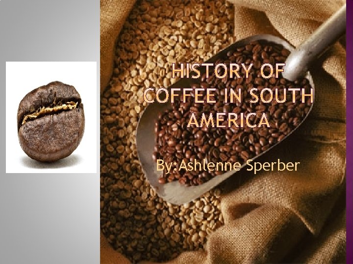 By: Ashlenne Sperber 