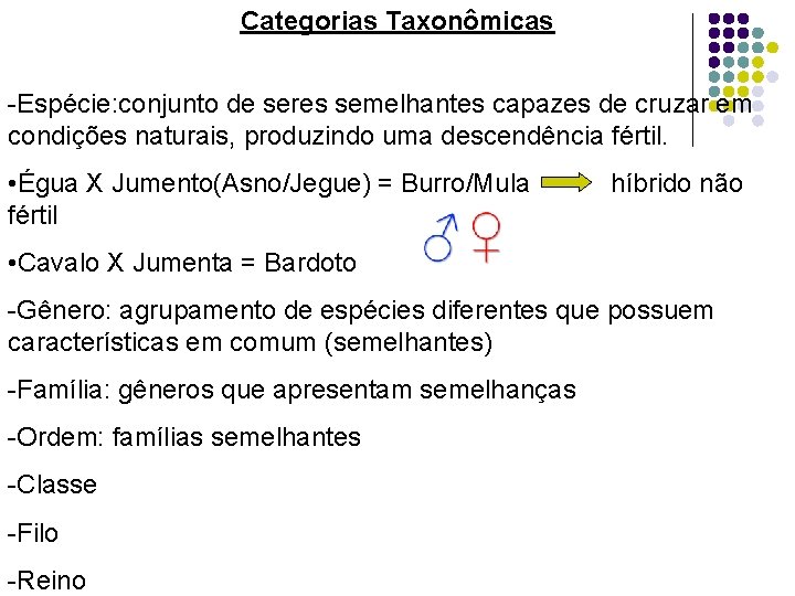 Categorias Taxonômicas -Espécie: conjunto de seres semelhantes capazes de cruzar em condições naturais, produzindo