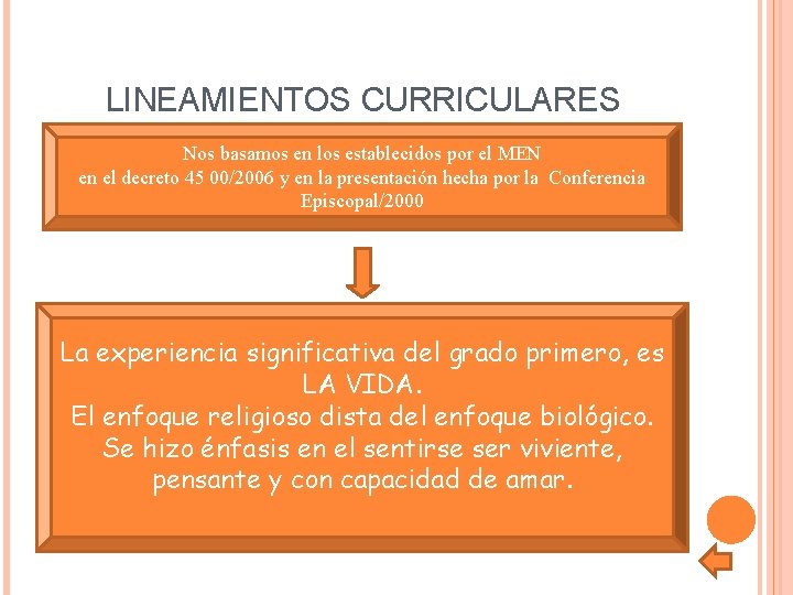 LINEAMIENTOS CURRICULARES Nos basamos en los establecidos por el MEN en el decreto 45