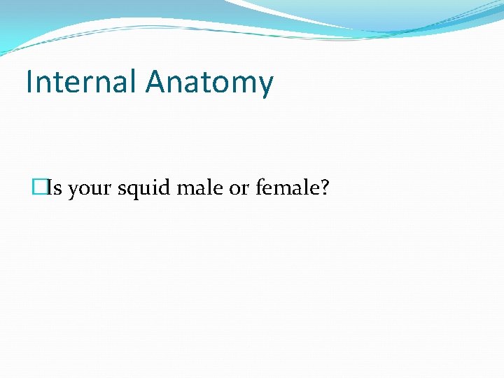 Internal Anatomy �Is your squid male or female? 