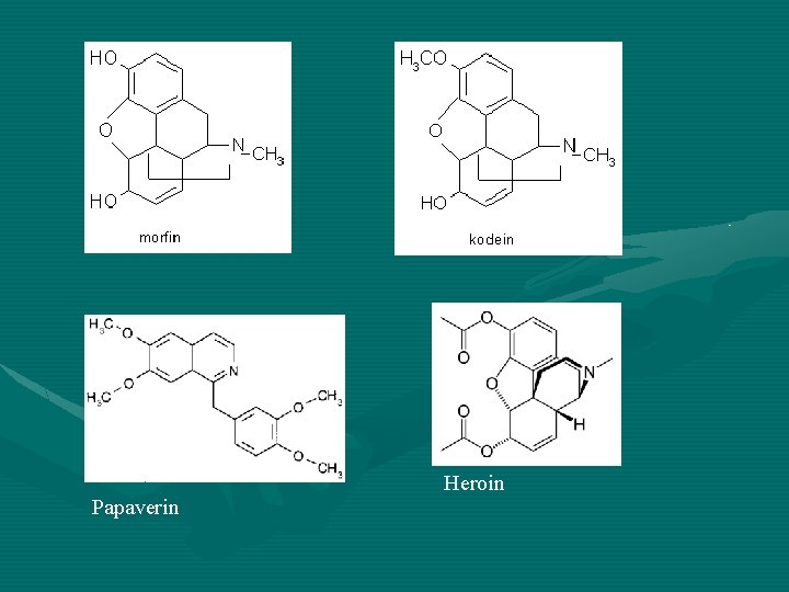 Papaverin Heroin 