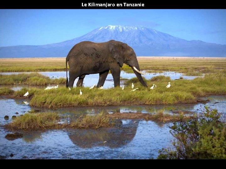 Le Kilimanjaro en Tanzanie 