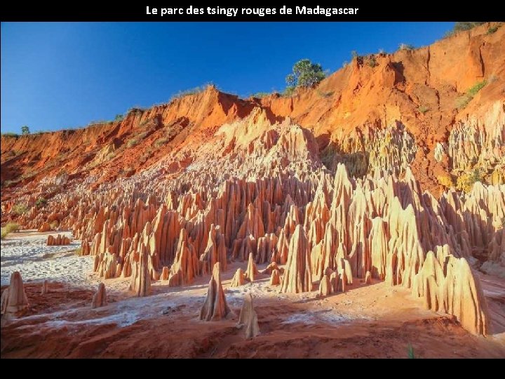 Le parc des tsingy rouges de Madagascar 