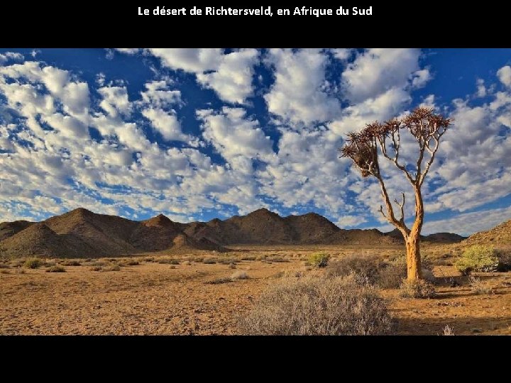 Le désert de Richtersveld, en Afrique du Sud 