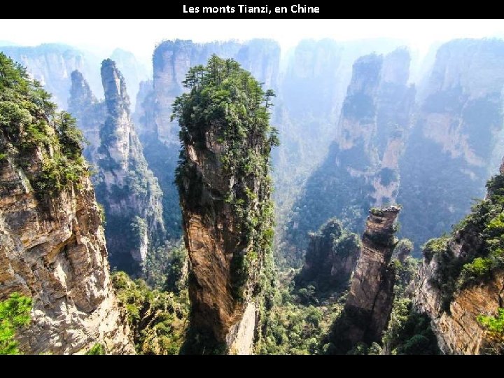 Les monts Tianzi, en Chine 