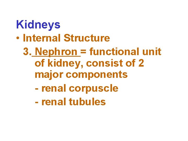 Kidneys • Internal Structure 3. Nephron = functional unit of kidney, consist of 2
