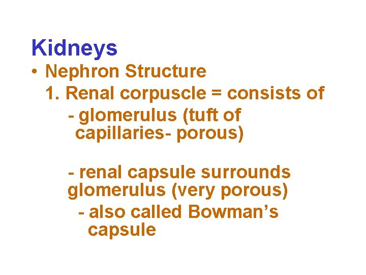 Kidneys • Nephron Structure 1. Renal corpuscle = consists of - glomerulus (tuft of