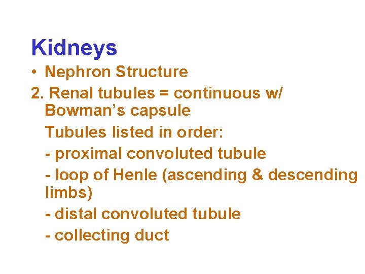 Kidneys • Nephron Structure 2. Renal tubules = continuous w/ Bowman’s capsule Tubules listed