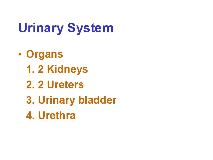 Urinary System • Organs 1. 2 Kidneys 2. 2 Ureters 3. Urinary bladder 4.