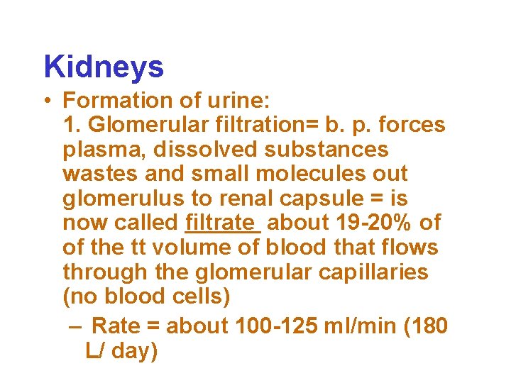 Kidneys • Formation of urine: 1. Glomerular filtration= b. p. forces plasma, dissolved substances