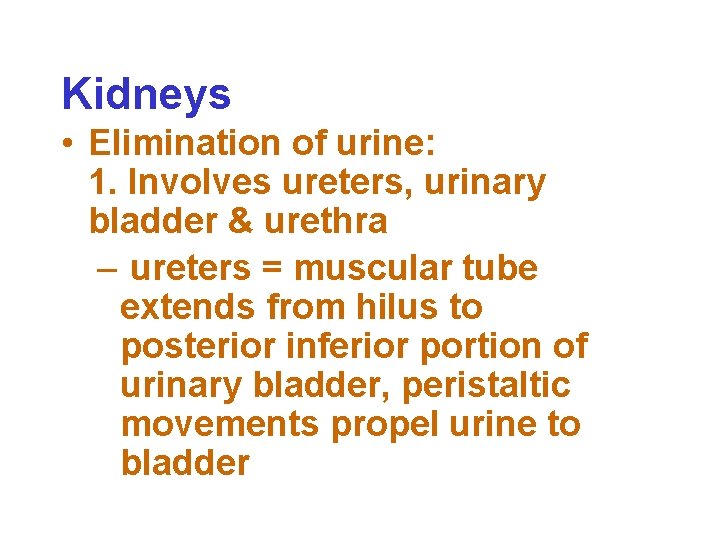Kidneys • Elimination of urine: 1. Involves ureters, urinary bladder & urethra – ureters