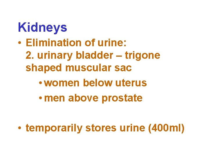 Kidneys • Elimination of urine: 2. urinary bladder – trigone shaped muscular sac •