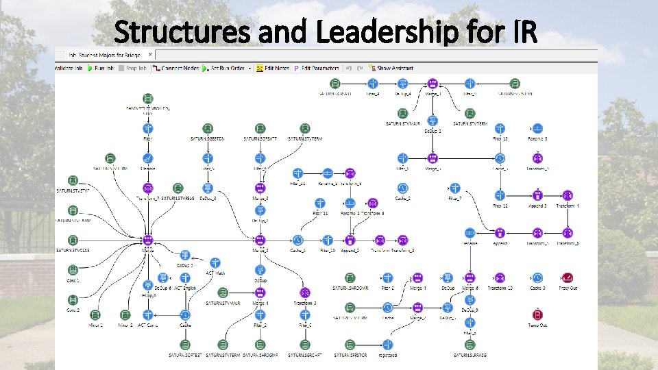 Structures and Leadership for IR 