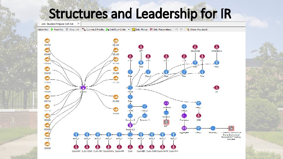 Structures and Leadership for IR 