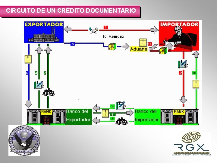 CIRCUITO DE UN CRÉDITO DOCUMENTARIO 