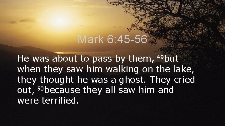 Mark 6: 45 -56 He was about to pass by them, 49 but when