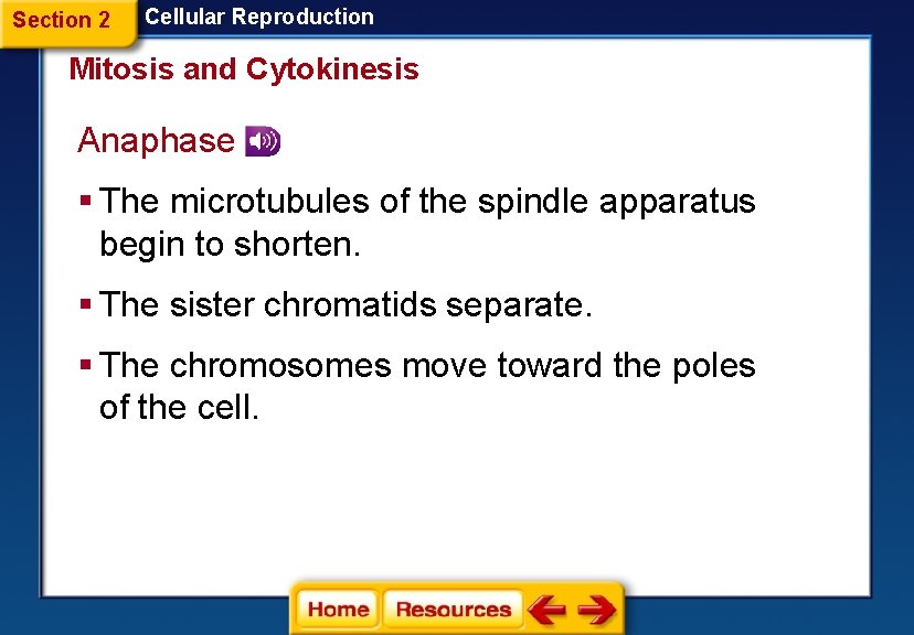 Section 2 Cellular Reproduction Mitosis and Cytokinesis Anaphase § The microtubules of the spindle