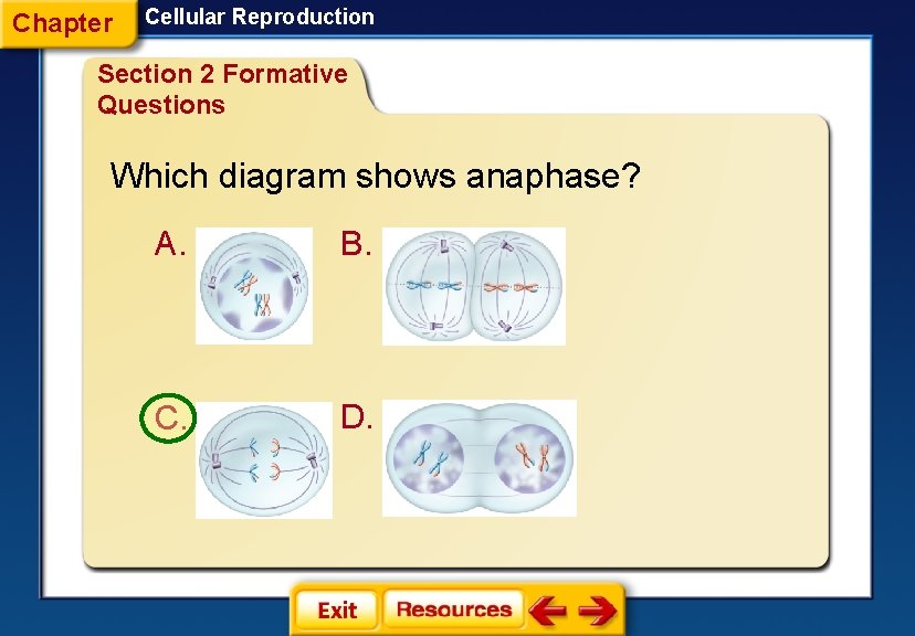 Chapter Cellular Reproduction Section 2 Formative Questions Which diagram shows anaphase? A. C. B.