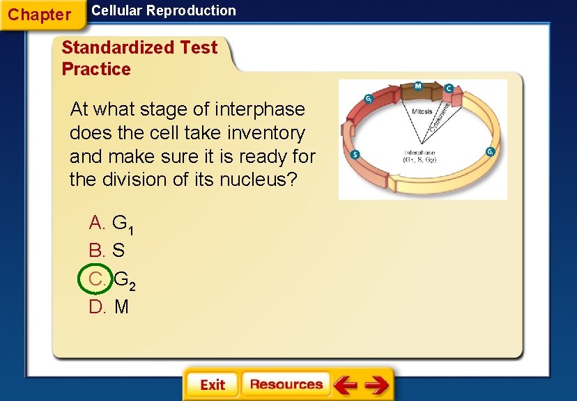 Chapter Cellular Reproduction Standardized Test Practice At what stage of interphase does the cell