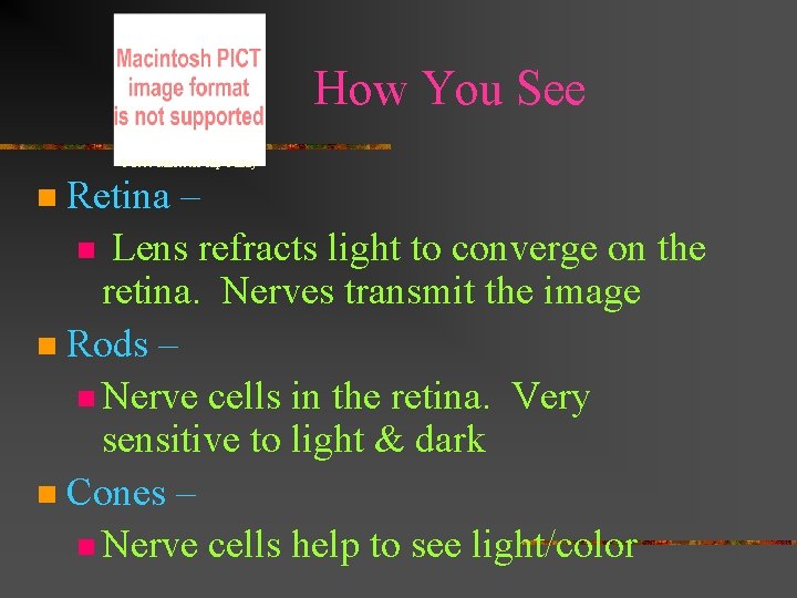 How You See © 2000 Microsoft Clip Gallery Retina – n Lens refracts light