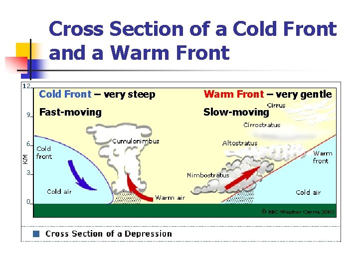 Cross Section of a Cold Front and a Warm Front Cold Front – very