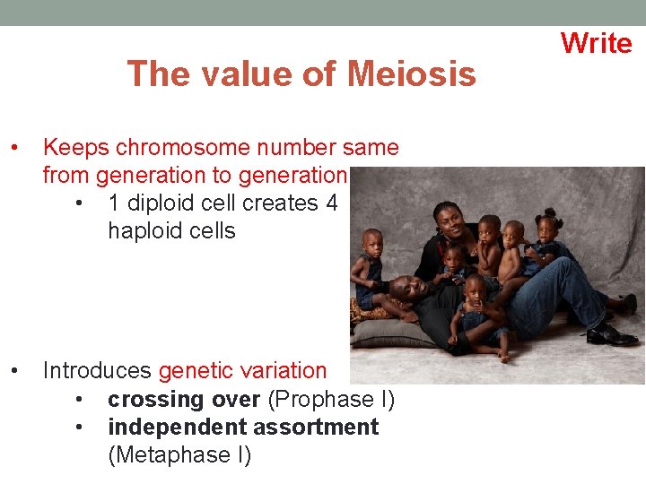 The value of Meiosis • Keeps chromosome number same from generation to generation •
