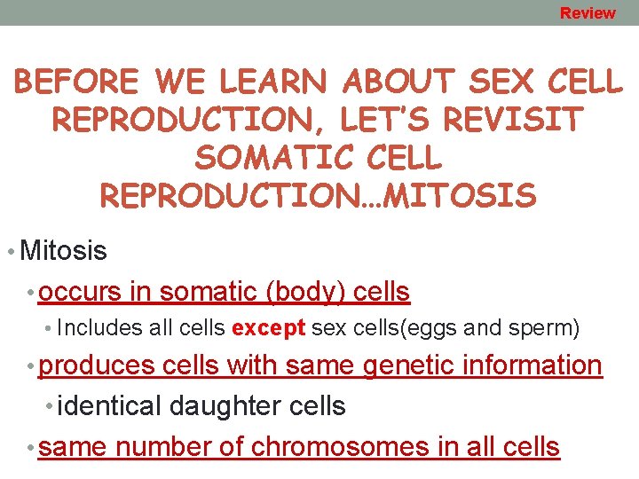Review BEFORE WE LEARN ABOUT SEX CELL REPRODUCTION, LET’S REVISIT SOMATIC CELL REPRODUCTION…MITOSIS •