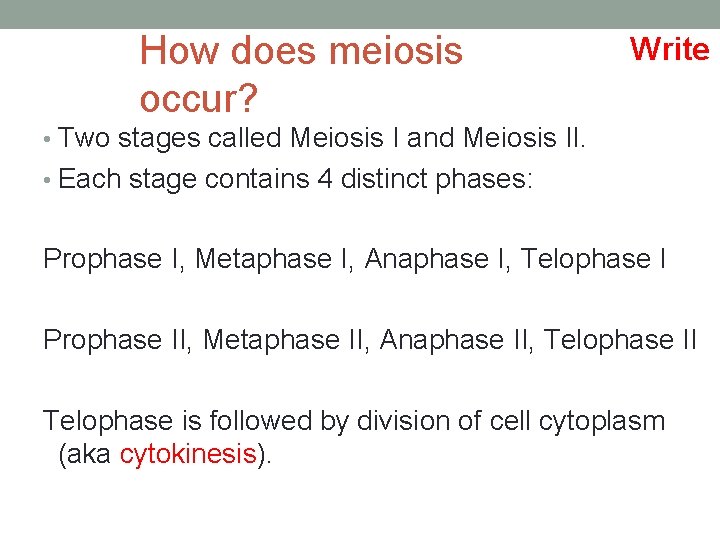 How does meiosis occur? Write • Two stages called Meiosis I and Meiosis II.